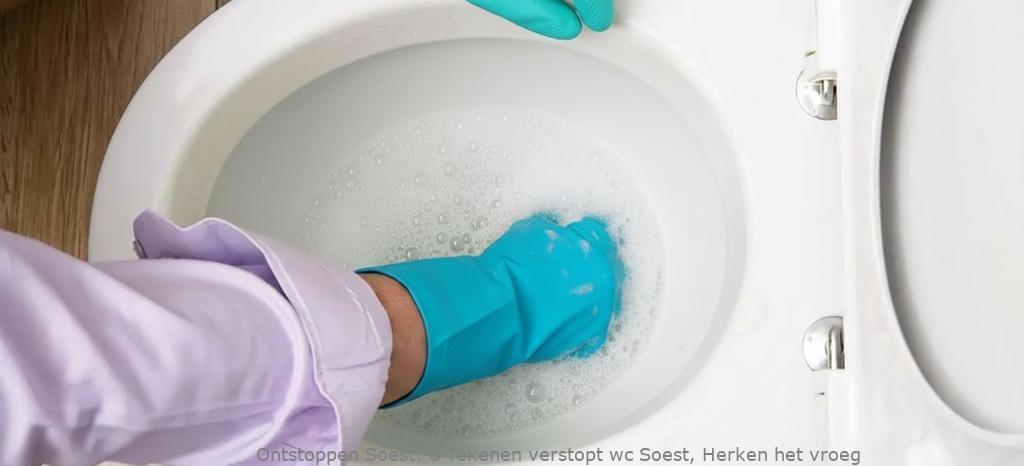 6 Tekenen verstopt wc Soest, Herken het vroeg